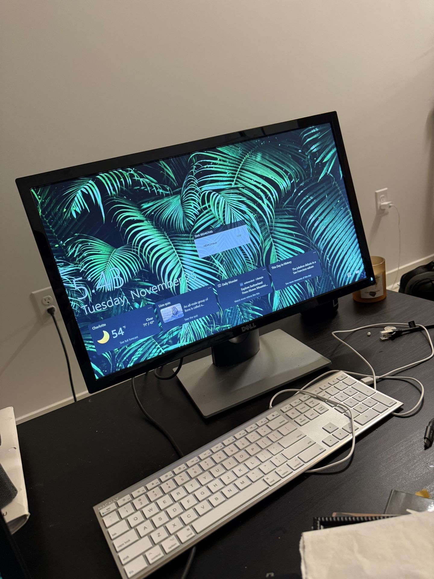 Dell 24” Monitor
