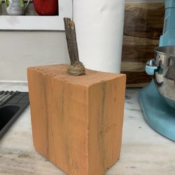 Rustic pumpkin