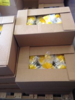 Wholesale Tortillas