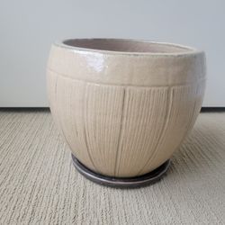 Indoor Outdoor Ceramic Planting Pot 11 ft