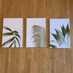 Plant Minimal Modern Canvas Art