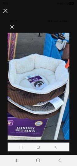 Nuevas Para Perrito Pequeño