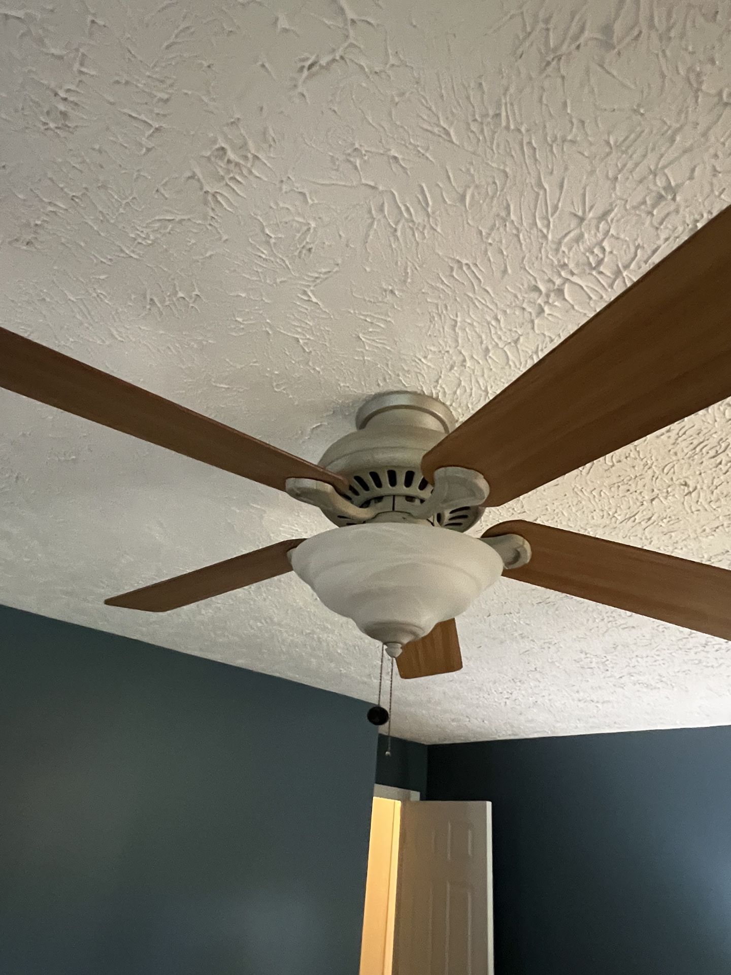 Ceiling Fan