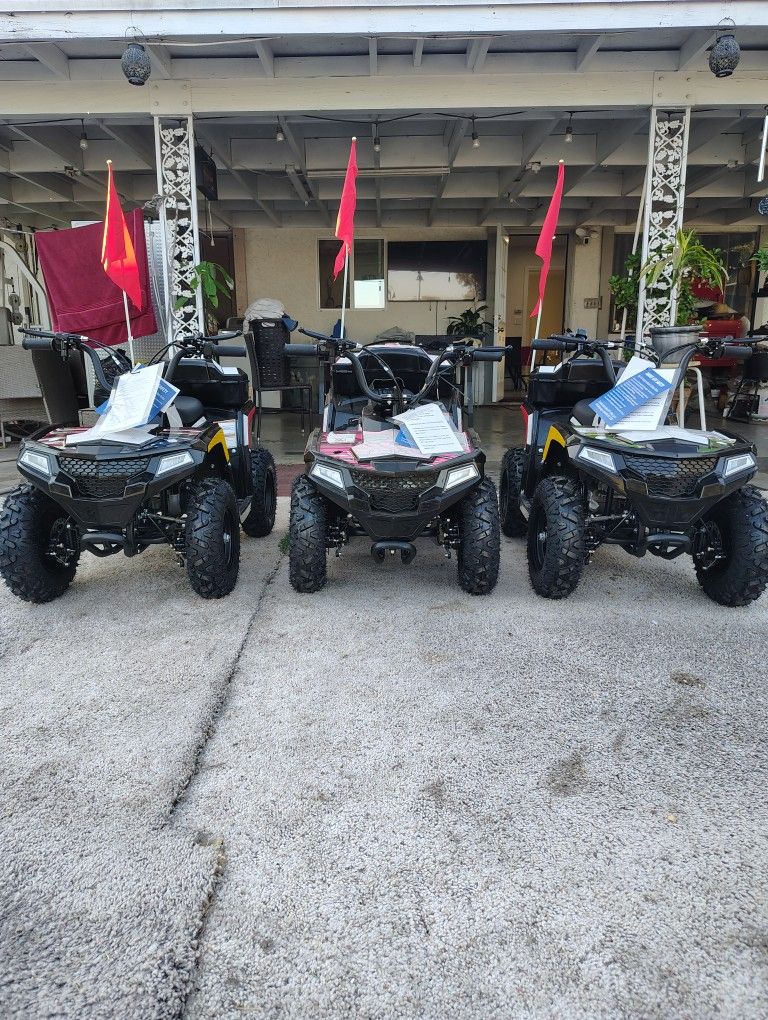 NEW 49cc automatic gas mini quad NUEVOS 