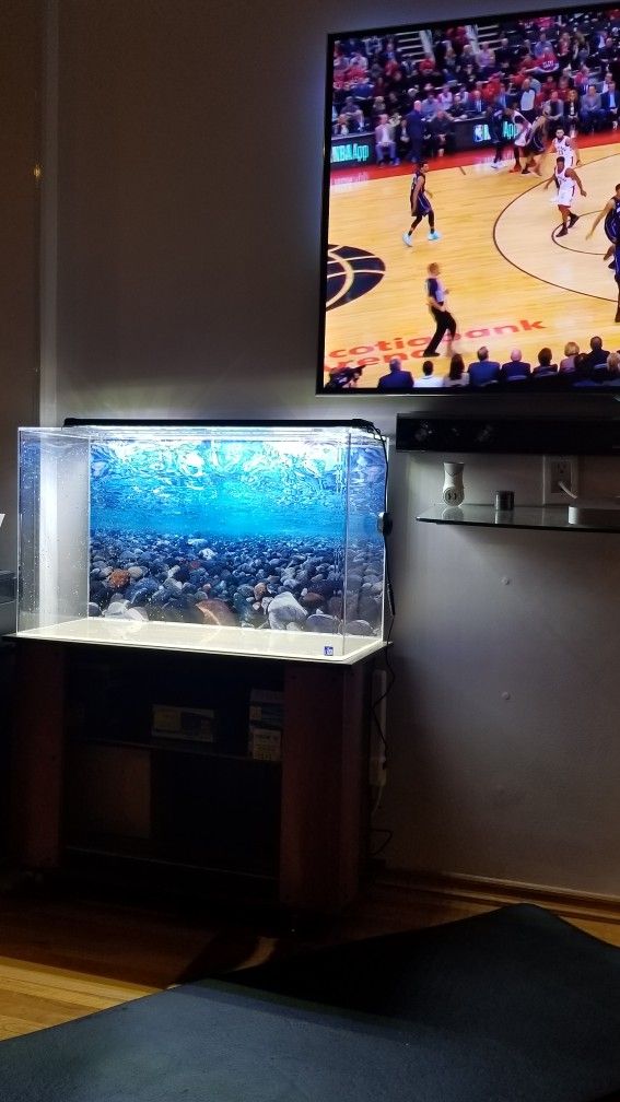 Sea Clear 30 Gallon Fishtank Rectangular Acrylic Aquarium Fish Tank SeaClear Stand Available