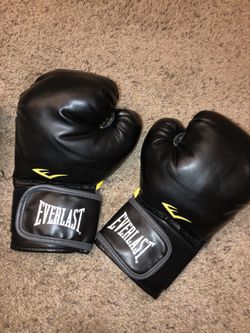 Everlast boxing gloves