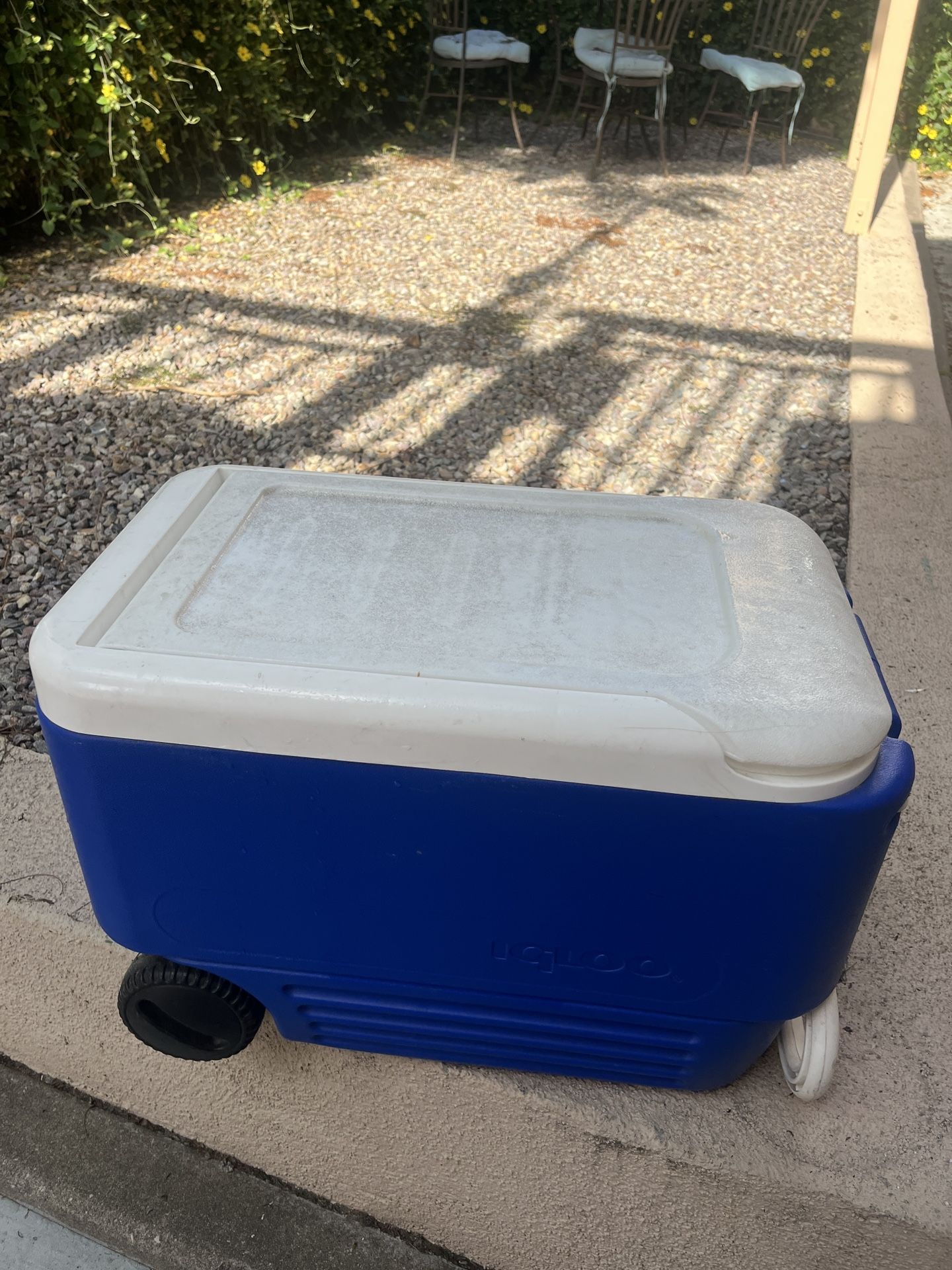 Igloo Cooler