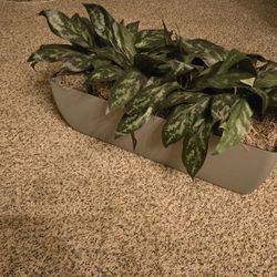 Beautiful  Pot With Artificial Plants 