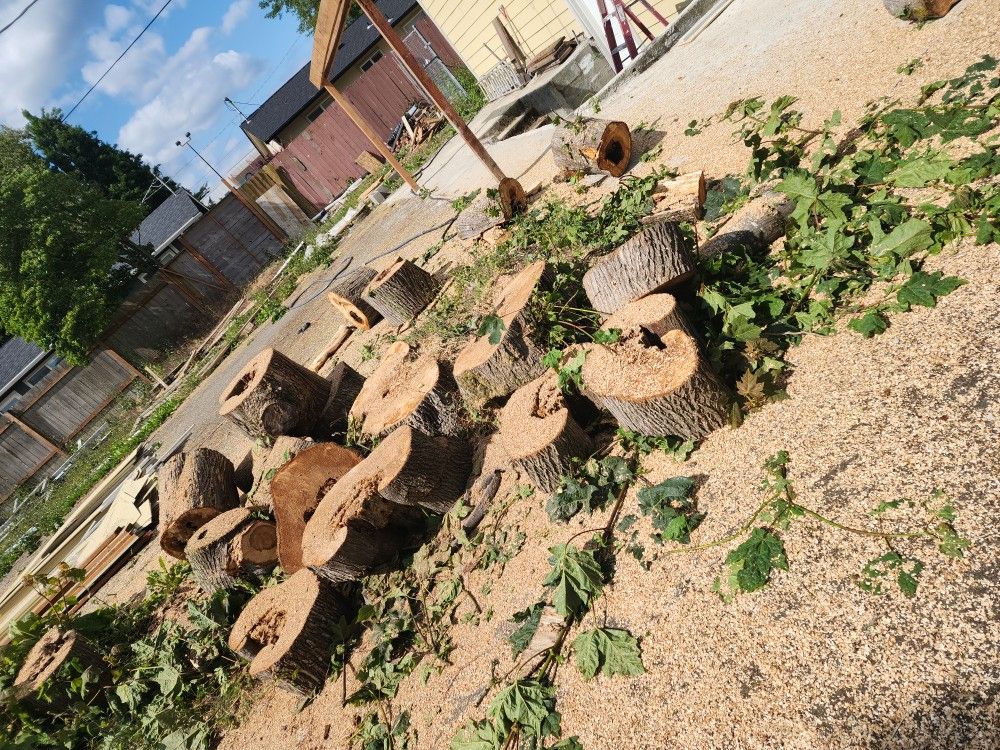 Firewood