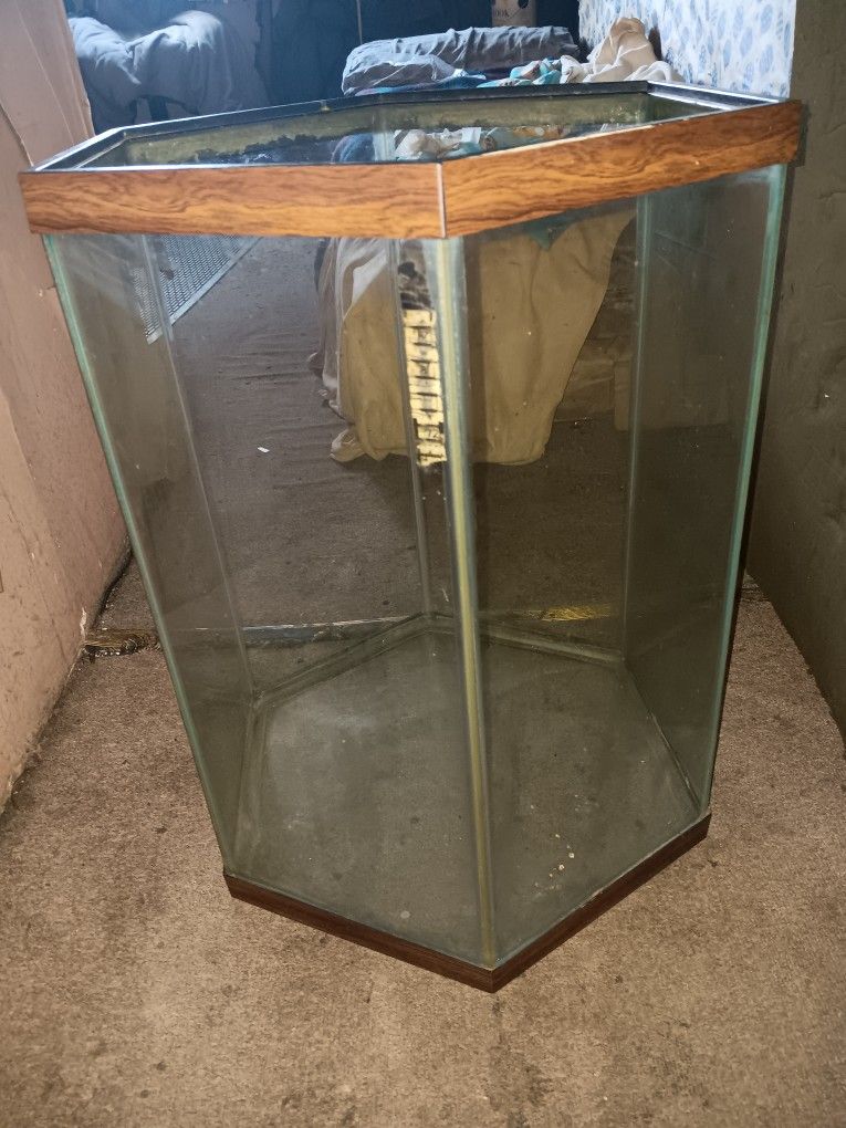 35 Gallon Fish Tank
