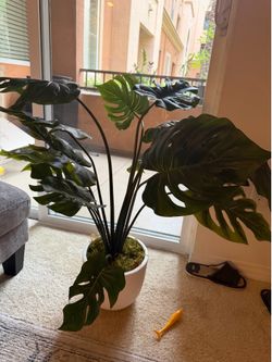 Fake plants