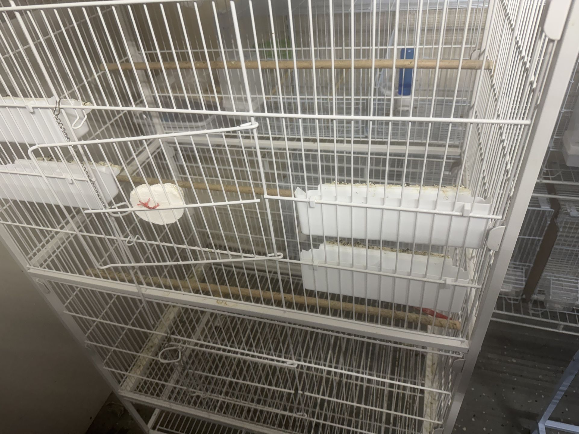 Cages For Sale