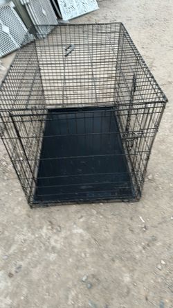 Extra large dog cage, 48 inches long by 32 inches high and 30 inches wide