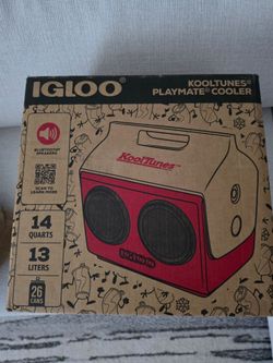 Igloo Speaker Cooler