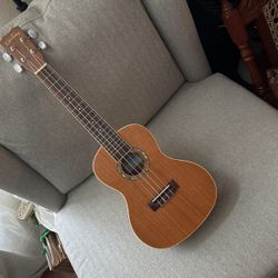 Like NEW UKRLELE