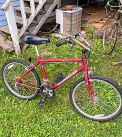 ​Vintage Roadmaster "Neutron Sport" Mountain Bike - Classic Steel Frame