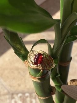 10k Filigree Garnet Ring