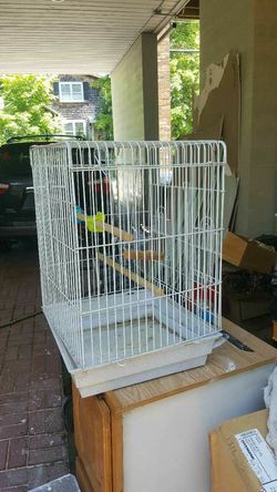 Medium size bird cage