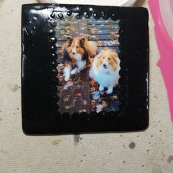 Pet Remembrance Coasters 