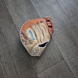 Fast Pitch Glove