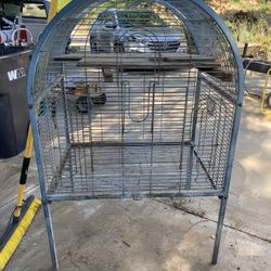 Bird Cage 