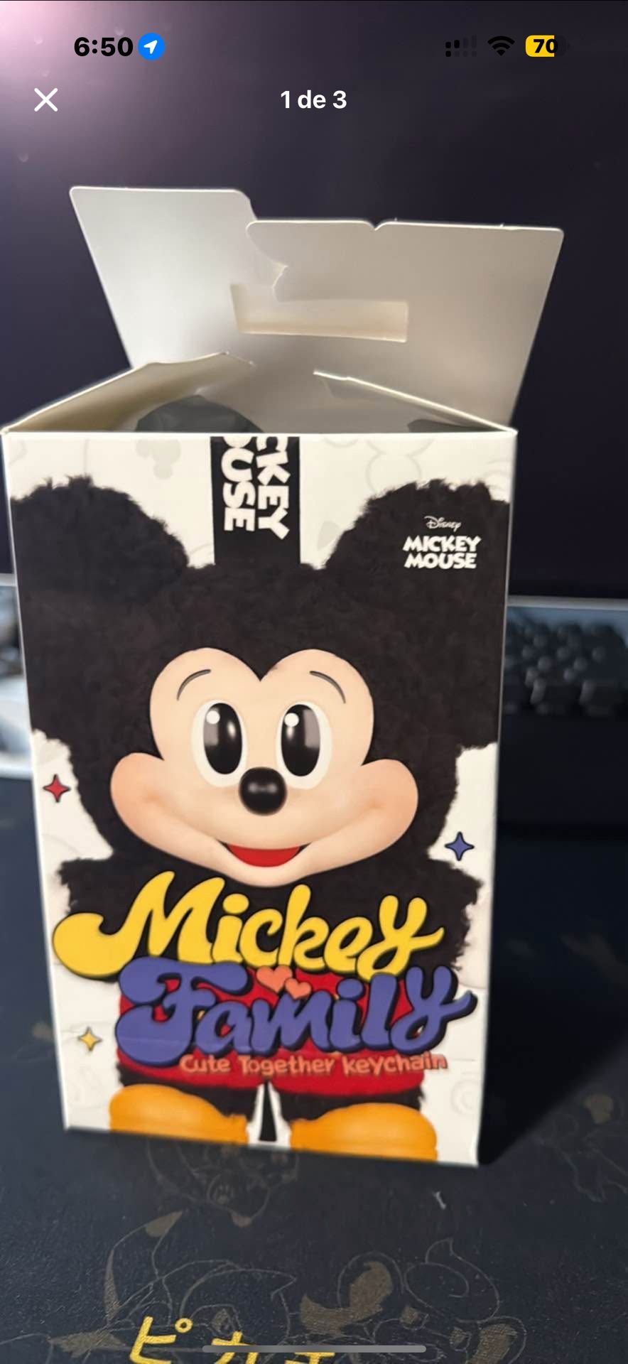 Mickey Family