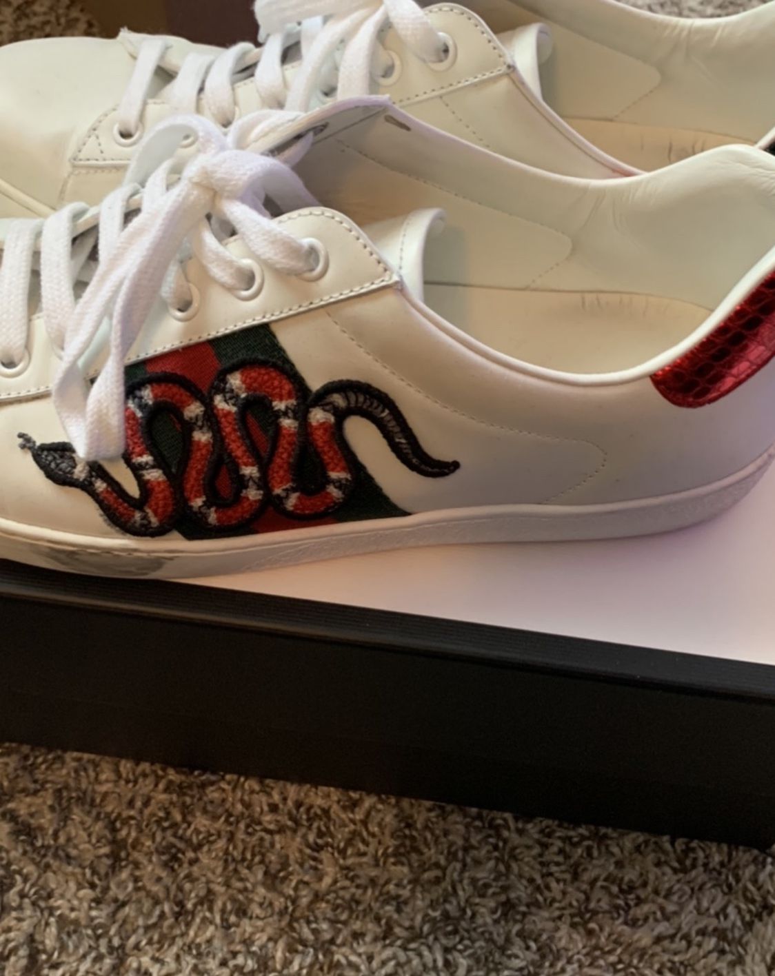 Gucci Snakes Ace