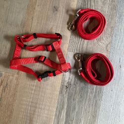 Dog harness, and leash 🐕 