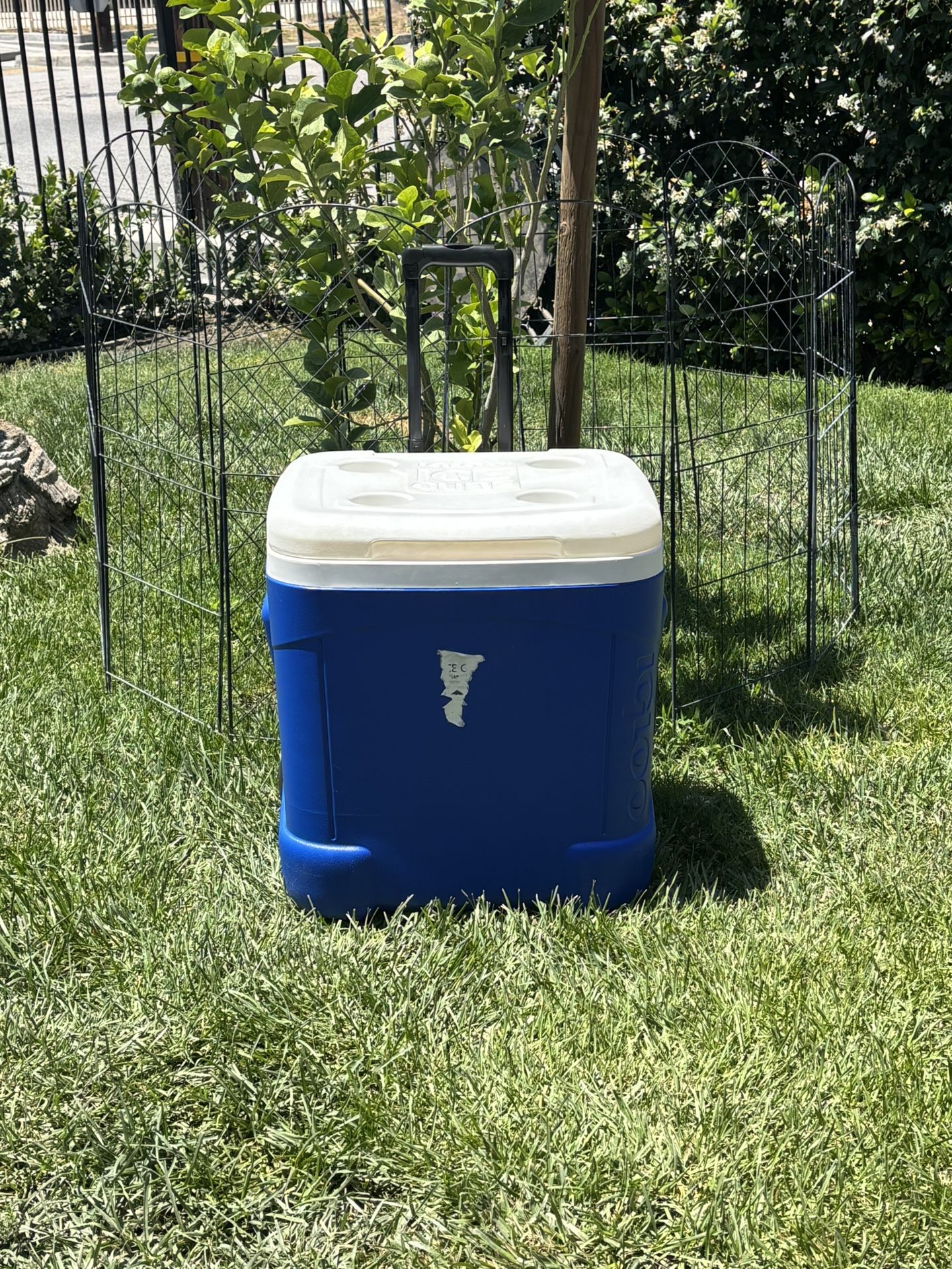 IGLOO,ICE CHEST,COOLER