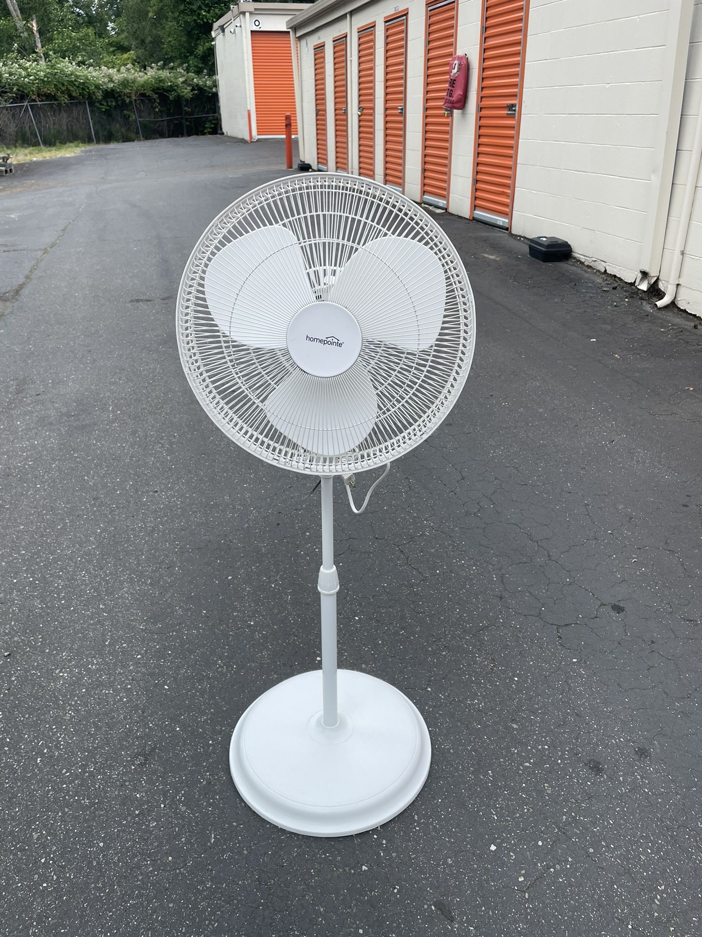 Fan
