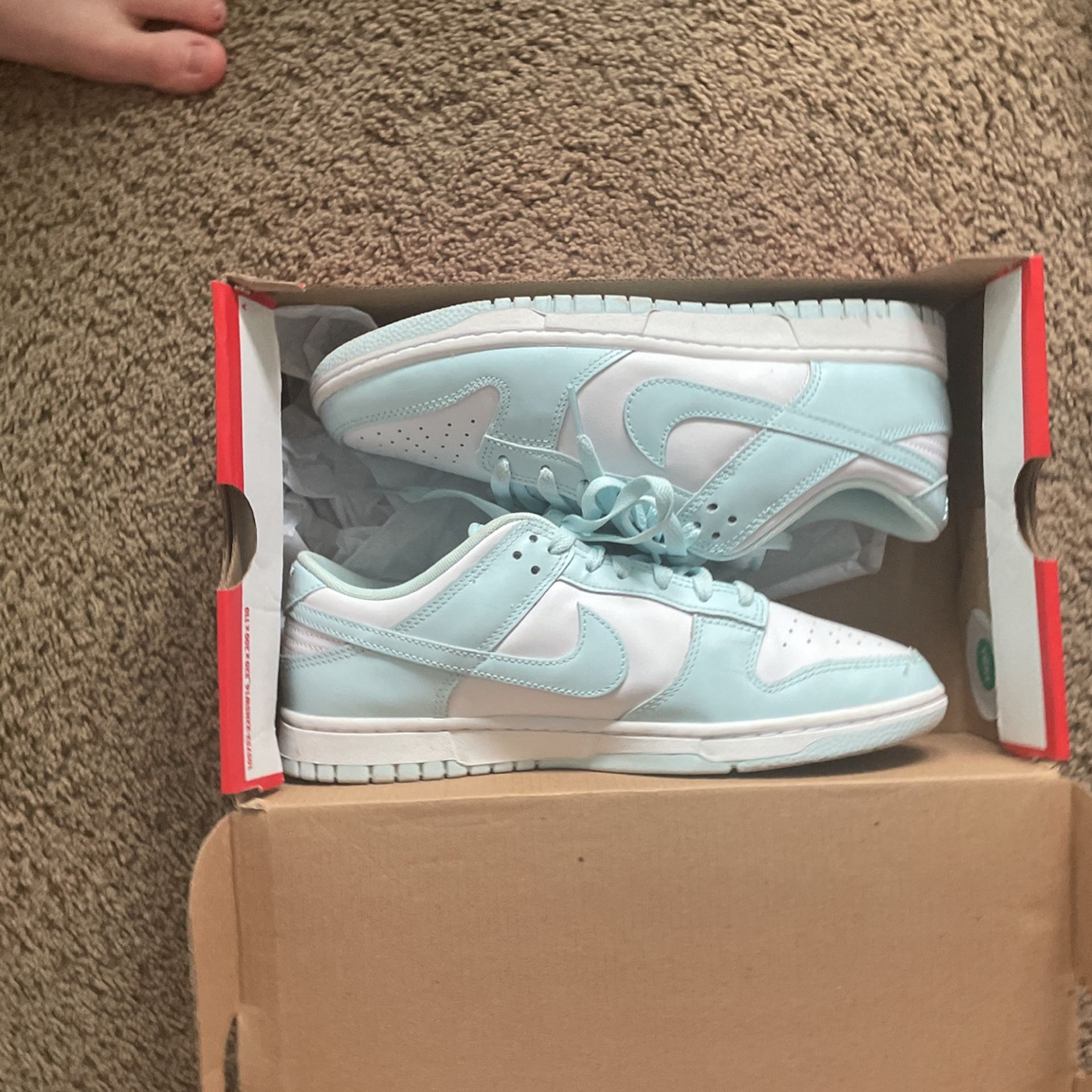 NIKE DUNKS