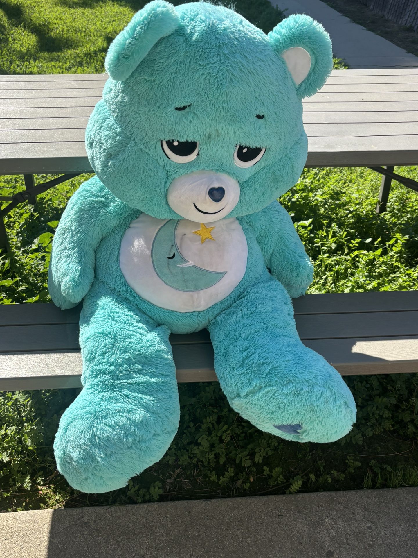 Giant Care Bear