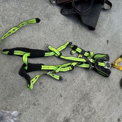 Safe Waze Pro Harness & FallTech 