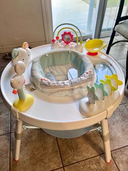 Skip Hop Activity Center