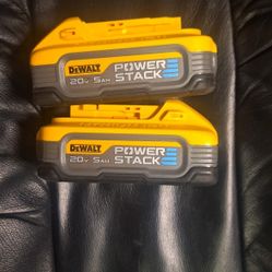 20 Volt Batteries