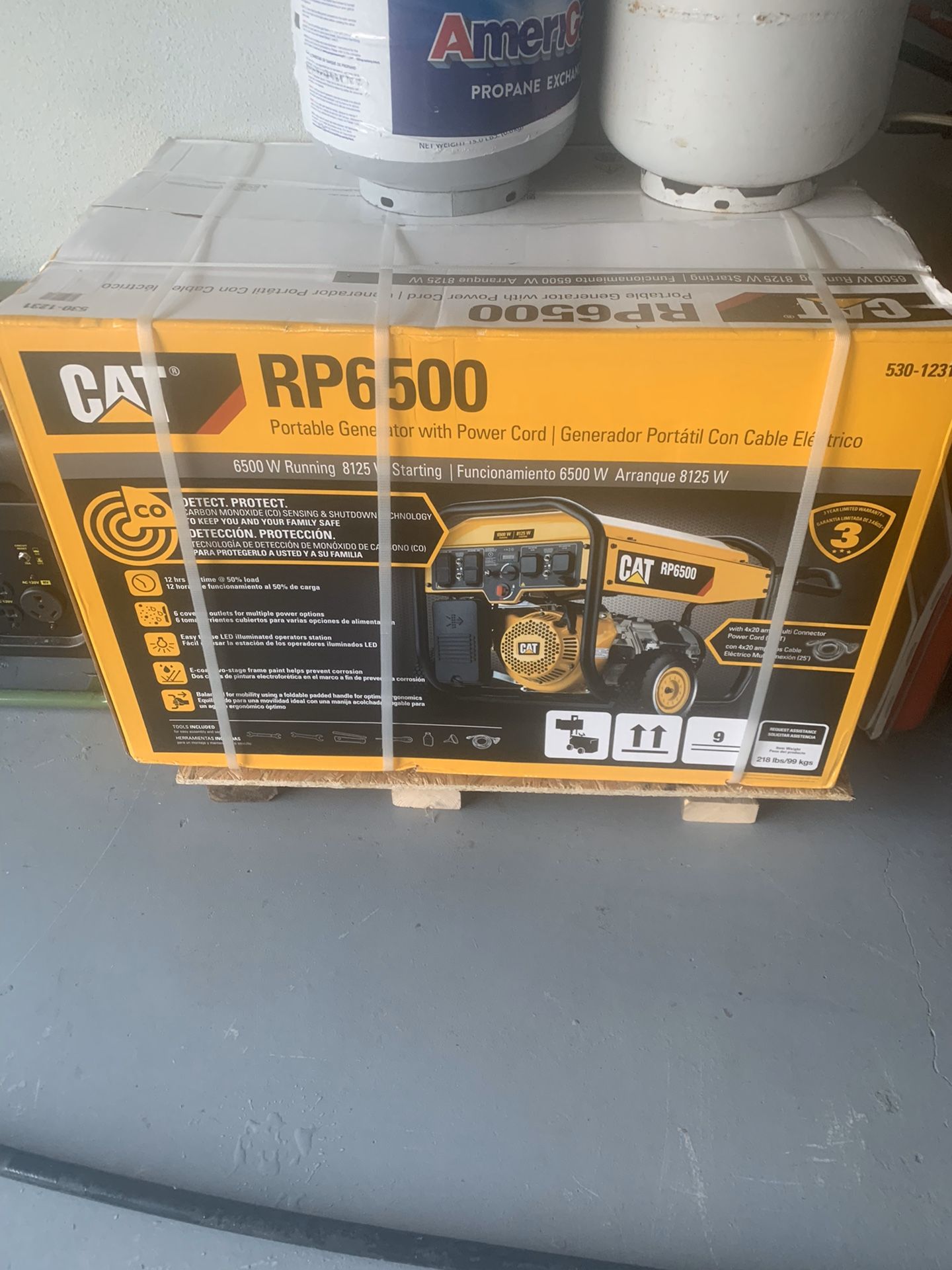cat generator 6500