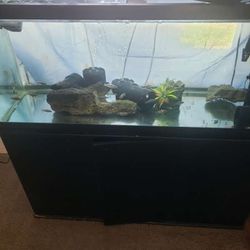75 Gallon Fish Tank For Sale With Stand And Filter Heater And Pumps Pickup Only