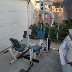 Home GYM dip station Pacific Fitness : 150 lb weight.