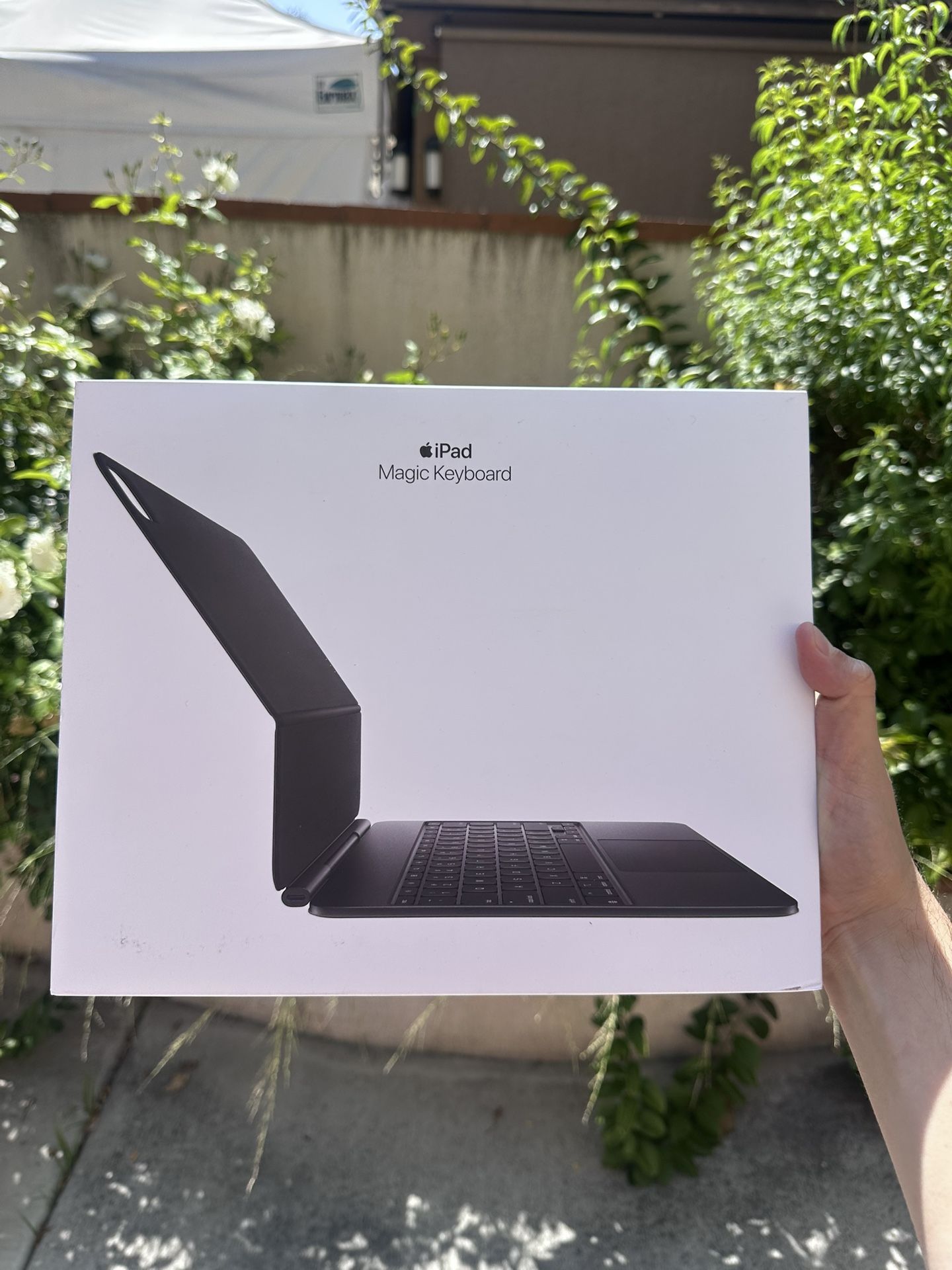 Apple Magic Keyboard Color Black For Pro