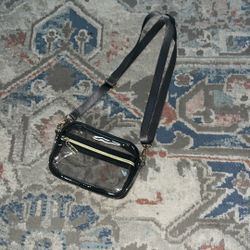 Clear Bag Purse
