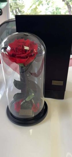Para Ella Preserved Rose in Glass Dome