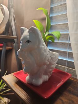 Cat with her baby/planter