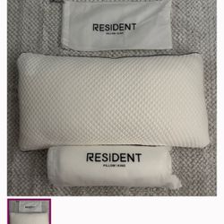 New Resident King Pillows- Set of 2