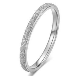 Silver Plated Titanium Steel Band Ring- Size 9.5