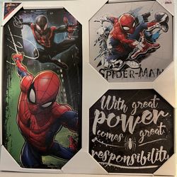 Spider-Man canvas print