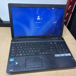 Toshiba Windows 11 Laptop
