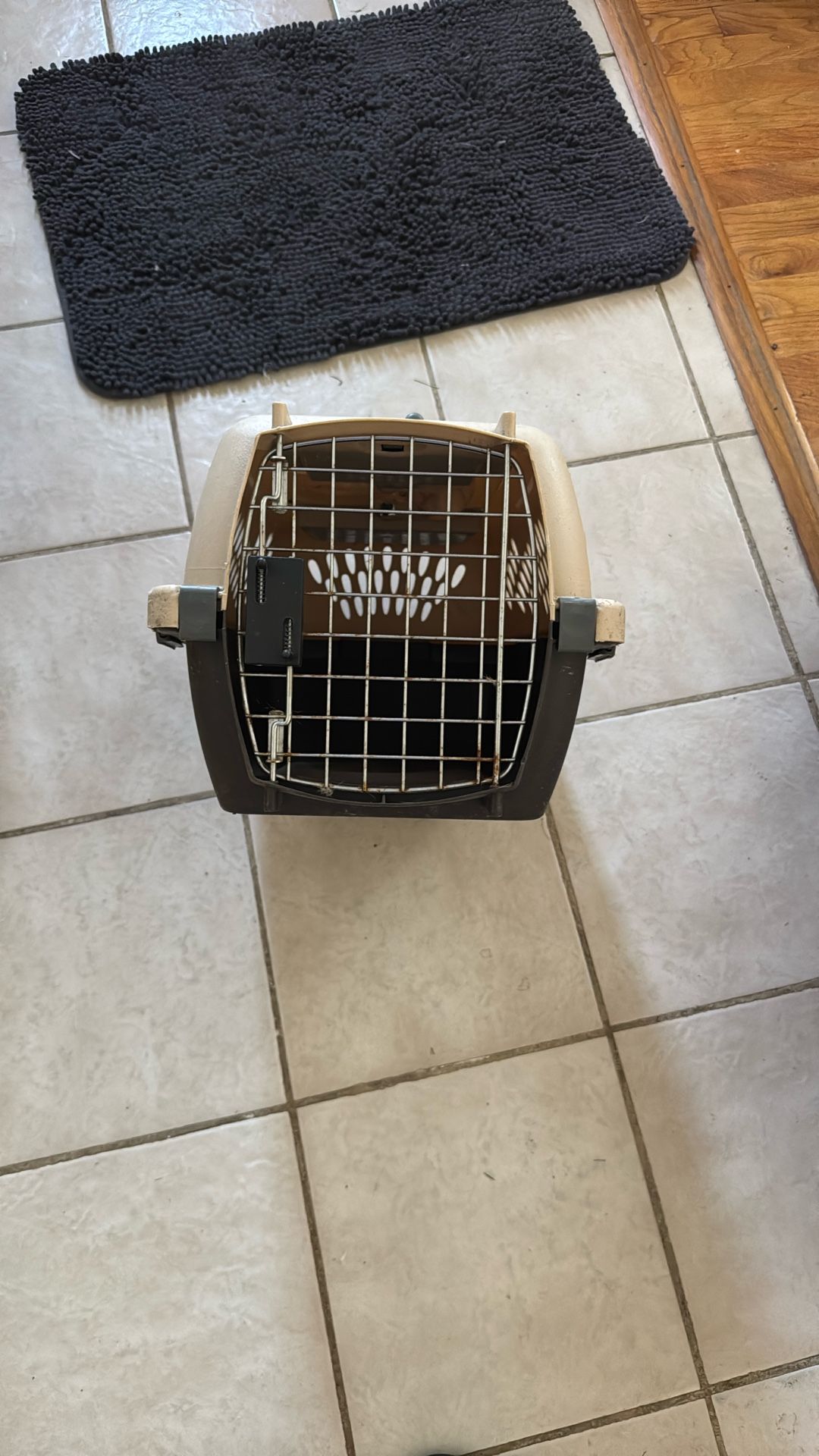 Small Pet Taxi