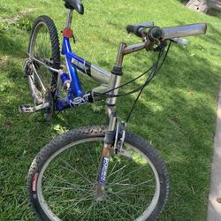 Mountain Bike