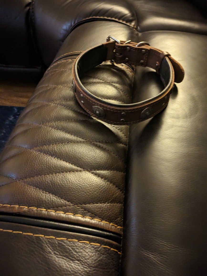 Leather Dog Collar 2in Wide