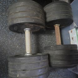 75 Lb Dumbbells